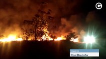 Incêndio destrói área de plantação de eucaliptos em Itaúnas, ES