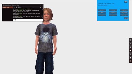 Loki Avatars Instructions