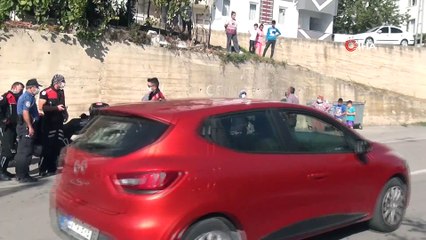 Sinop’ta yüksekten düşen inek saatlerce kurtarılmayı bekledi