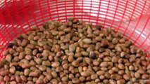 বাদামের খাজা বানানোর একদম সহজ রেসিপি/Badamer khaja recipe.(Most easy recipe to make Peanut Bar)