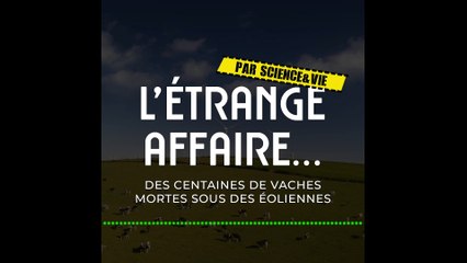 [PODCAST L'étrange affaire ] Le mystère des centaines de vaches mortes sous des éoliennes