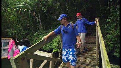 Predátoři zblízka 34 - Medúzy - Žahavé nebezpečí