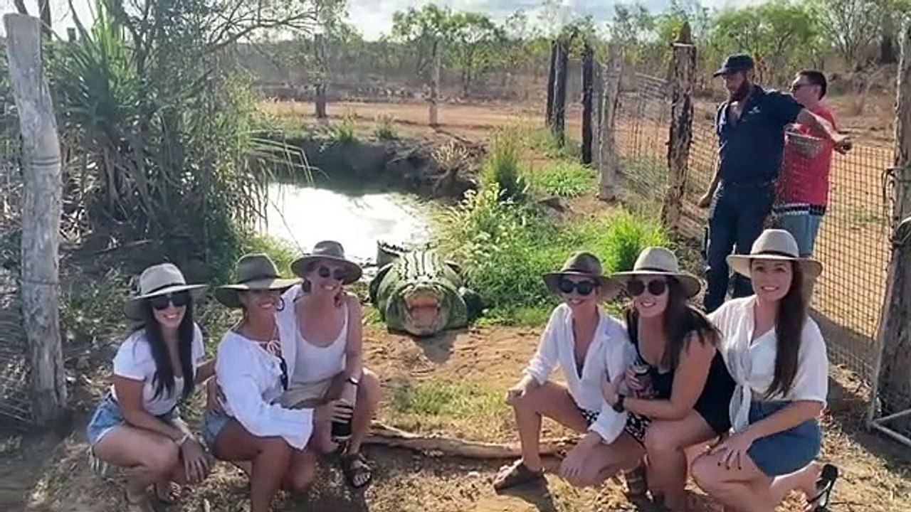 Prendre la pose devant un crocodile (Blague)