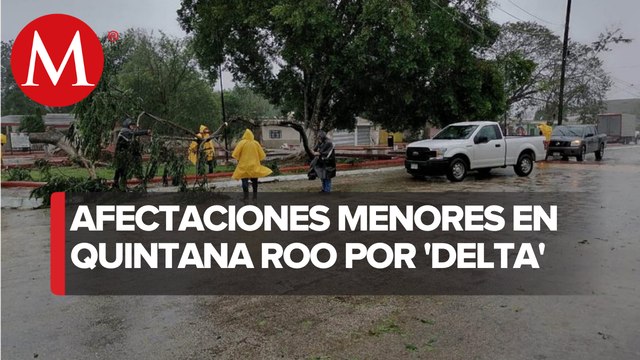 'Delta' deja corte de luz, caída de árboles y encharcamientos en QRoo
