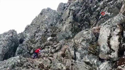 Kayalıklara kaçan keçiyi itfaiye ekipleri indirdi