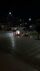 Un éléphant de mer perdu en plein centre ville (Chili)