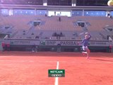 Kvitova through to French Open semi-final