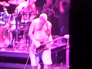 Sublime - 40 Oz. To Freedom