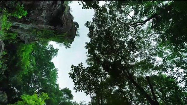 Monstrum Movie Trailer - Hyeri Lee, In-kwon Kim, Myung-Min Kim, Woo-sik Choi, Sung-woong Park, Hee-soon Park, Kyeong-yeong Lee, and Kyu-bok Lee