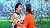 Aap Ke Kareeb Hum Rehte Hain (((Jhankar))) HD Saajan Ki Baahon Mein