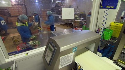 Labor to focus on plans to get more women into work