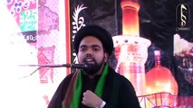 Majlis - Ali A.S Siddique Akbar & Farooq e Azam Hain - Syed Ali Naqi Kazmi