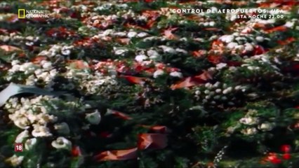 Apocalipsis - La Guerra Fria - Episodio 4 - La Conquista