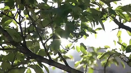 10월 8일 김진의 돌직구쇼 오프닝