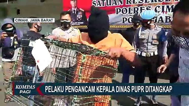 Minta Jatah Proyek, Pelaku Ancam Kepala Dinas PUPR dengan Ular Piton