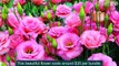 Do you know - Top 10 Most Expensive Flowers In The World