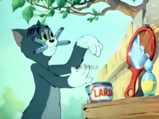 Tom And Jerry The Zoot Cat