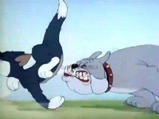 Tom And Jerry Puttin On The Dog