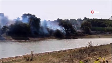 - Anız yangını ağaçlık alana sıçradı