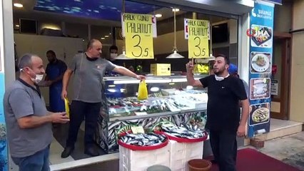 Düzce'de palamut 3,5 liraya kadar düştü