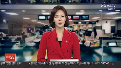 해경청장 "피격 공무원 새벽 2~3시쯤 실종 추정"