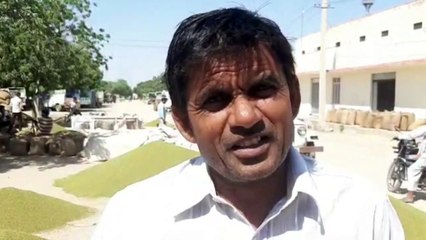 एमएसपी पर शुरू नहीं हुई मूंग खरीद, किसान कम दाम पर मंडी में बेचने को मजबूर
