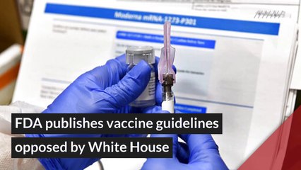 FDA publishes vaccine guidelines opposed by White House, and other top stories in general news from October 08, 2020.
