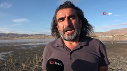 Erçek Gölü’ndeki flamingolar göz kamaştırdı