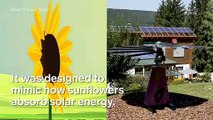 Smart Solar Panels That Track The Sun - Smartflower