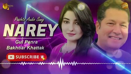 Narey Me Wale Na Awrey -  Gul Panra & Bakhtiar Khattak