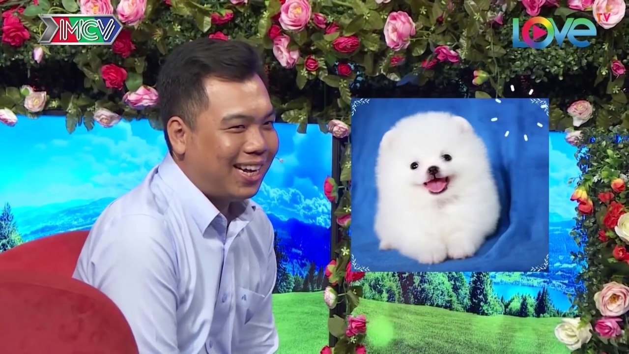 Chàng trai thật thà CHIA TAY bạn gái vì có quá nhiều LÔNG TAY làm mọi người SỬNG SỐT BMHH