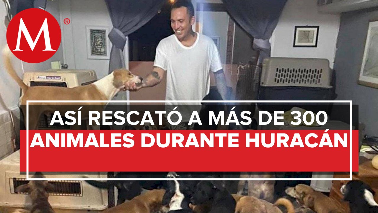 Hombre  rescata a animales tras el paso del huracán 'Delta'