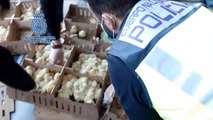 Abandonan 20.000 pollitos en el aeropuerto de Barajas