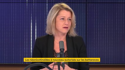 Néonicotinoïdes : "On est quasiment complètement débarrassés de ces saletés" se félicite Barbara Pompili