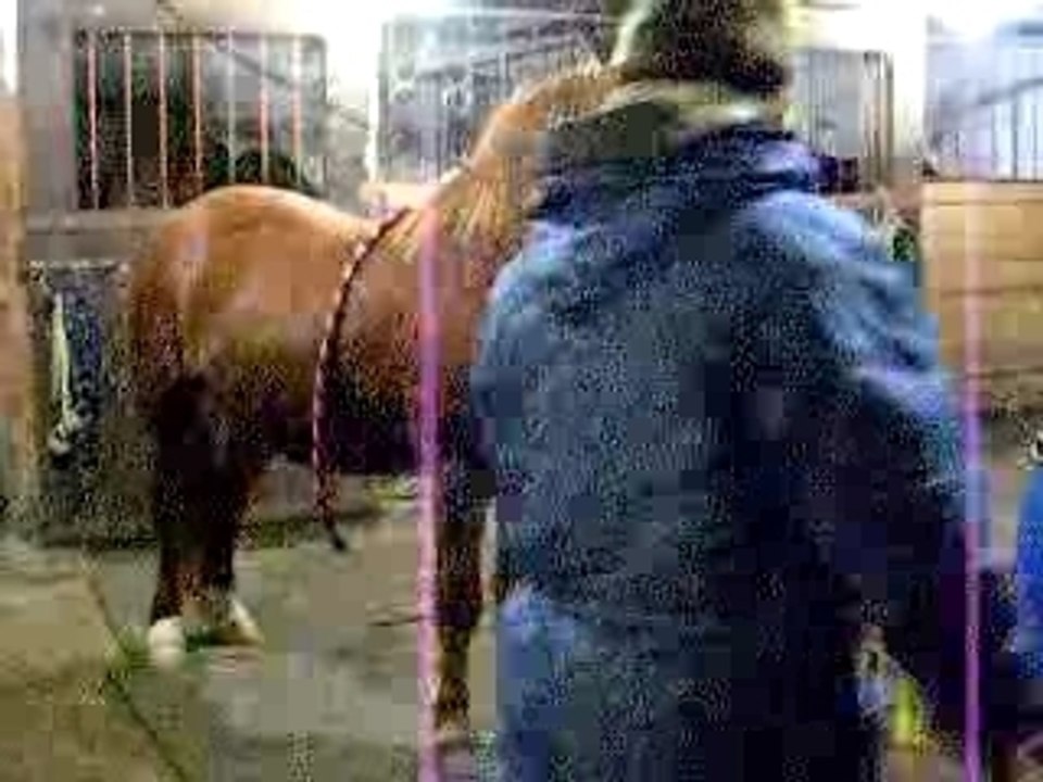 Sam donne la patte !