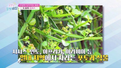 ❛□□□❜ 지방 흡수 억제해 다이어트에 도움 #광고포함