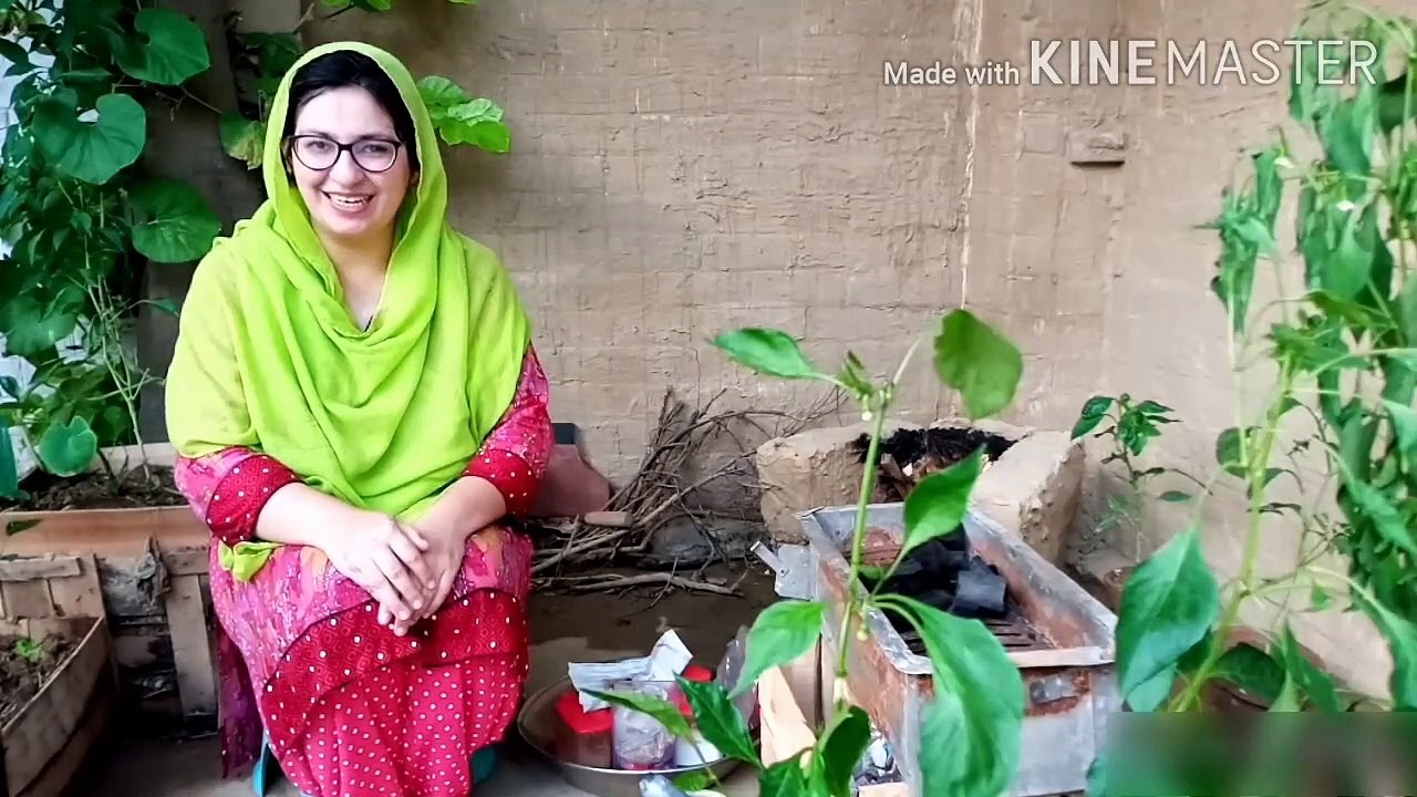 chicken piece seekh tikka recipe - chicken tikka recipe - chicken piece tikka - chicken roast recipe