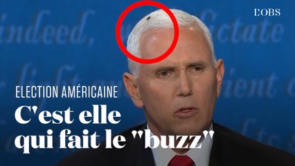 Une mouche se pose sur la tête de Mike Pence pendant son débat avec Kamala Harris