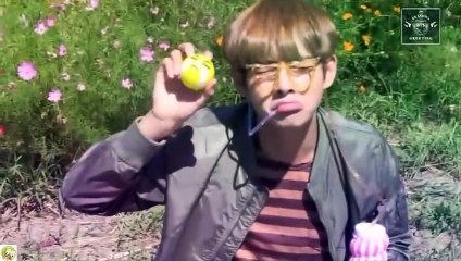 [ENG] BTS Season Greeting 2016 Full DVD