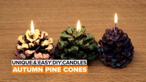 Unique & Easy DIY Candles: Autumn Pine Cones