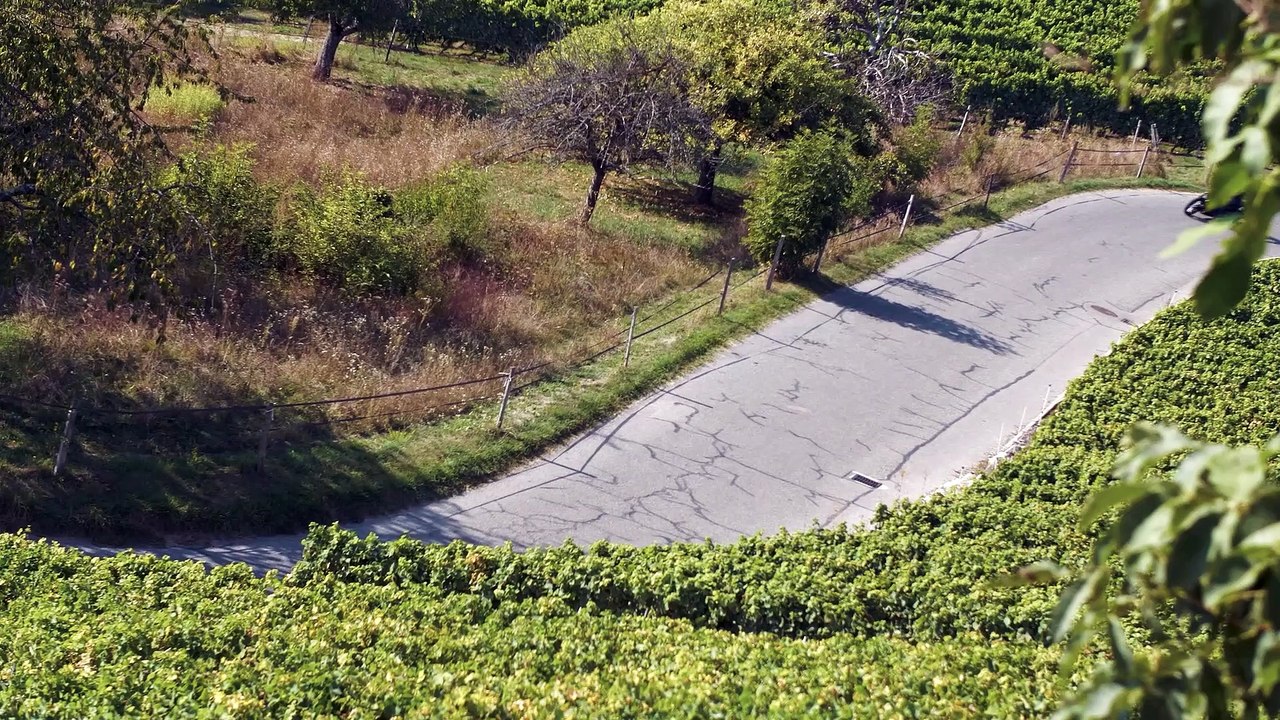 Poivre Noir Performances, optimisation moteur haute technologie pour motos américaines