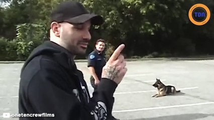 Ce chien est dressé au doigt et à l'oeil