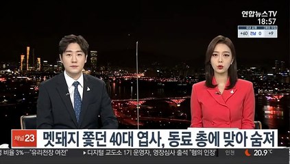 멧돼지 쫓던 40대 엽사, 동료 총에 맞아 숨져