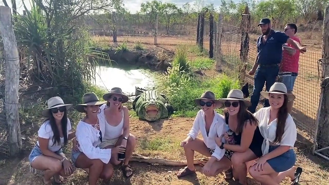 Prendre la pose devant un crocodile (Blague)