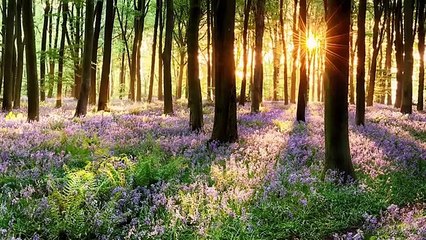 BEST MOTIVATION 30 Minute Deep Sleep Music| Sleep Meditation| Calm Music| Relaxing Music| Fall Asleep | Relaxation