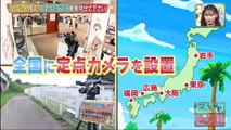 どうぶつピース！！ 2020年10月8日 日本全国に出没！スマホ動画見せてくださいで大発見SP - (edit 1/2)