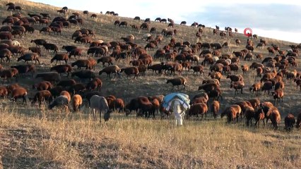 Göçerlerin zorlu dönüş yolculuğu başladı