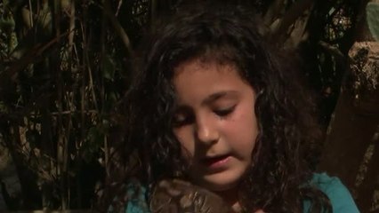 Una niña israelí se baña en la piscina con una serpiente muy grande