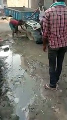 पाइप लाइन को ठीक करने के लिए बीच सड़क पर खोदे गए गड्डे में गिरा ट्रैक्टर