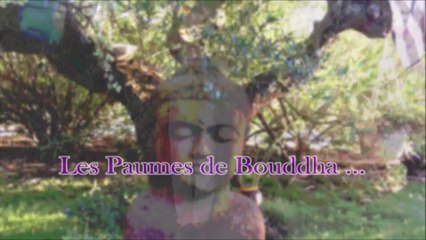Tifen* - Qi Gong "Les Paumes de Bouddha" -  Octobre 2020